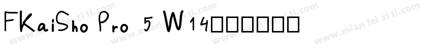 FKaiSho Pro 5 W14字体转换